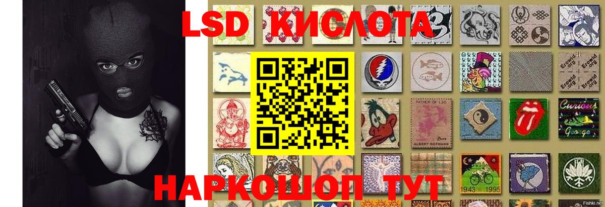 LSD-25 экстази ecstasy  LSD-25 экстази ecstasy  Свободный  Вход с VPN 
