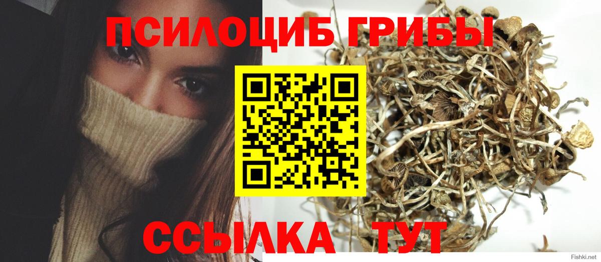 Псилоцибиновые грибы мухоморы Свободный